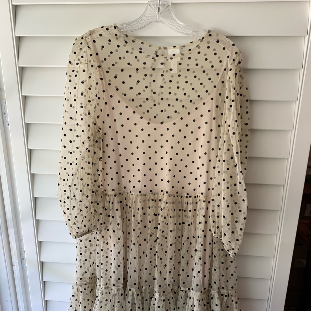 Black / Cream HM Polka Dot Dress